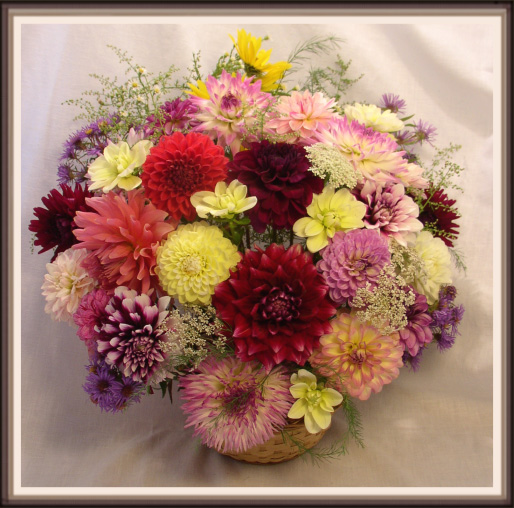 Dahlia basket arrangements